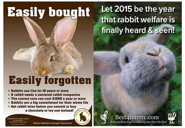 rabbit in new year 2015 new year 2015 animal rabbit 28 images zodiac sign clip rabbit in new year 2015 new year 2015 animal rabbit 28 images zodiac sign clip